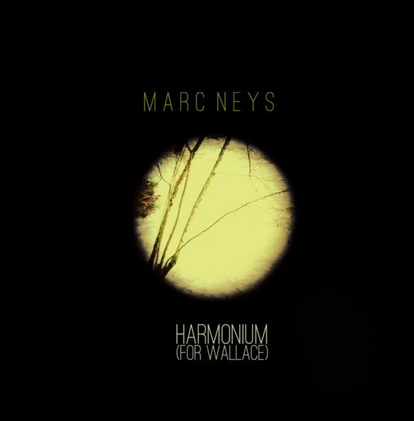 MARC NEYS © MARC NEYS