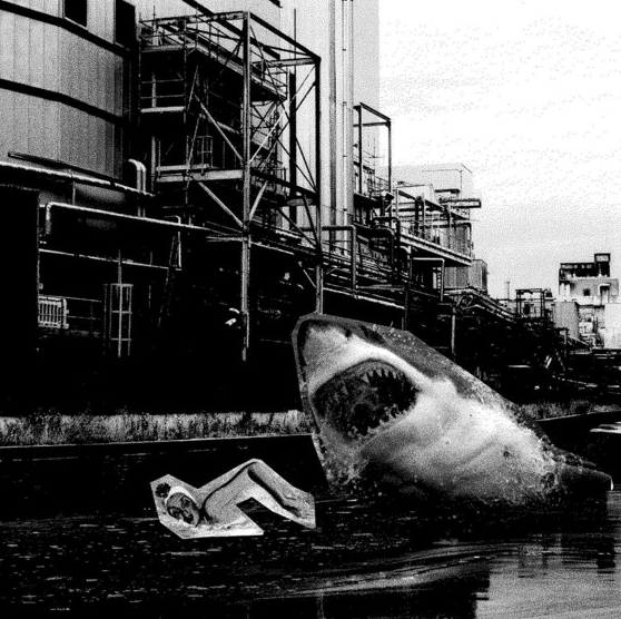 SHARKS EAT PEOPLE TOO © SHARKS EAT PEOPLE TOO