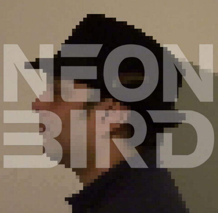 NEON BIRD © NEON BIRD