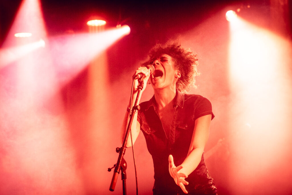 Lézard © Björn Comhaire