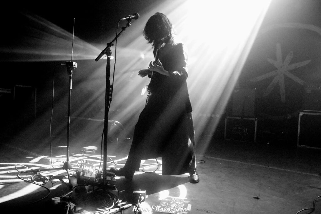 HEARTWORMS © Hans Vermeulen