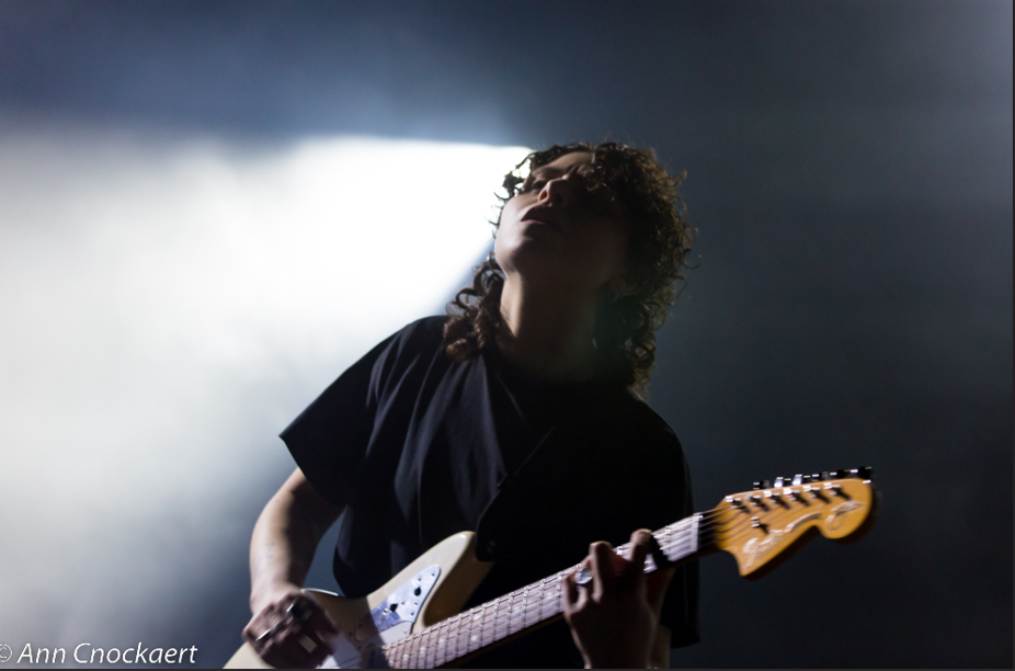 ILA © Ann Cnockaert