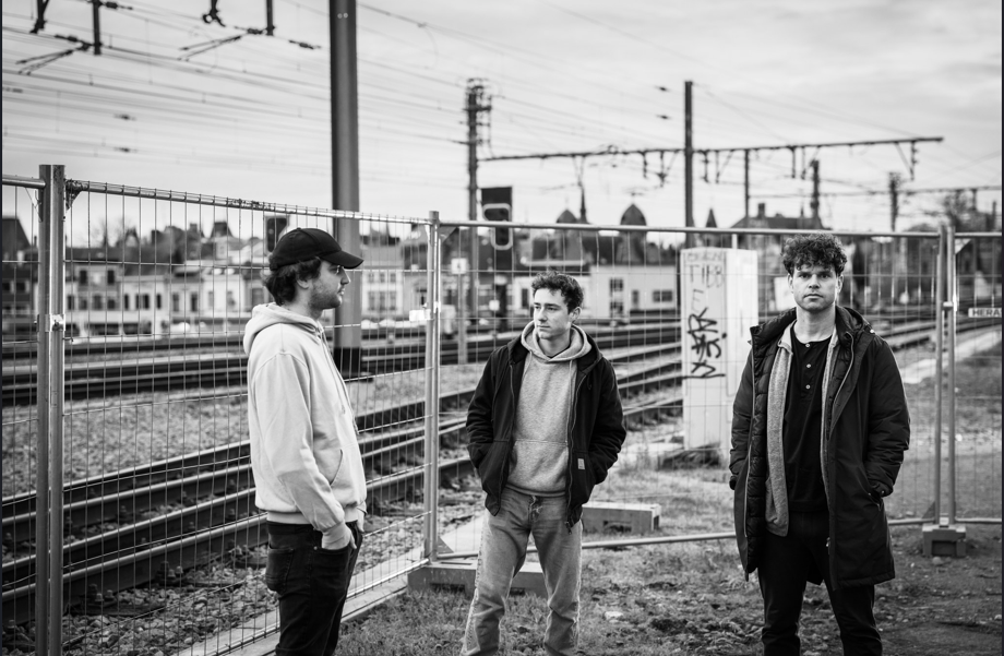 MAGNUM FOX © Spot_on_visuals/Jeroen Gijselinckx