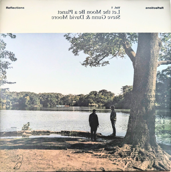 STEVE GUNN & DAVID MOORE - Let The Moon Be A Planet © Discogs