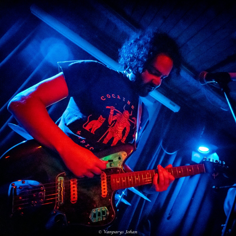 SHARKS EAT PEOPLE TOO @ Johan Vanparys