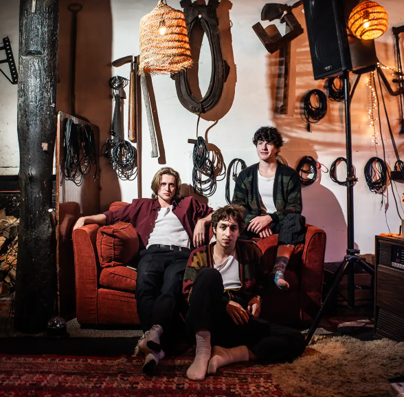 THE OWLS AND ORCAS © THE OWLS AND ORCAS