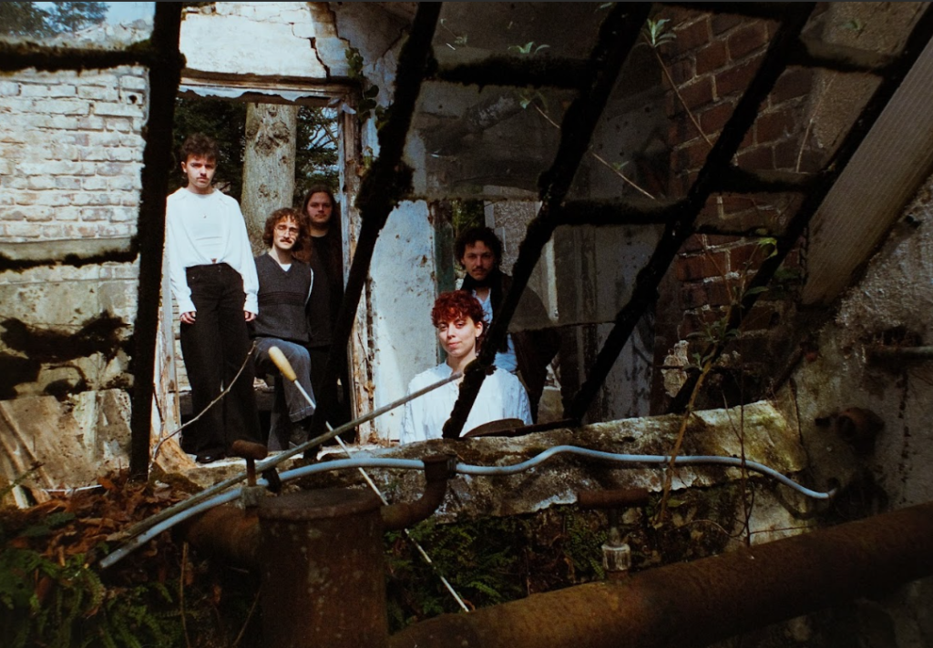 BLUE ROBIN © BLUE ROBIN