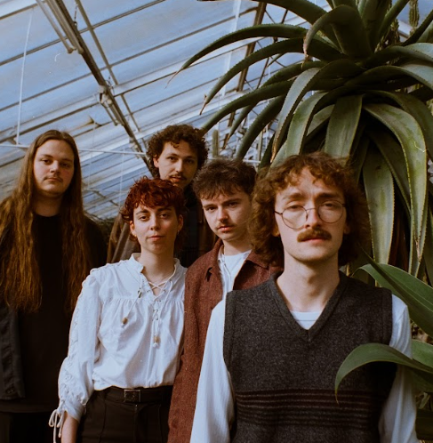 BLUE ROBIN © BLUE ROBIN