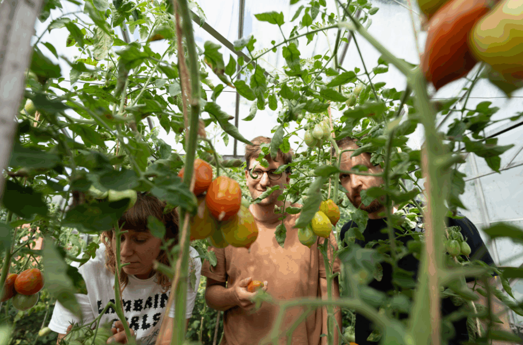 GRONDSTOF © GRONDSTOF