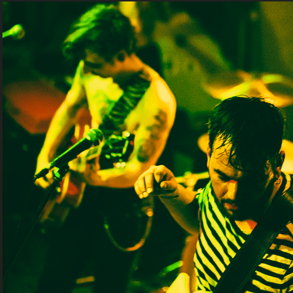 CHIFF CHAFFS © Jan Vancoppenolle