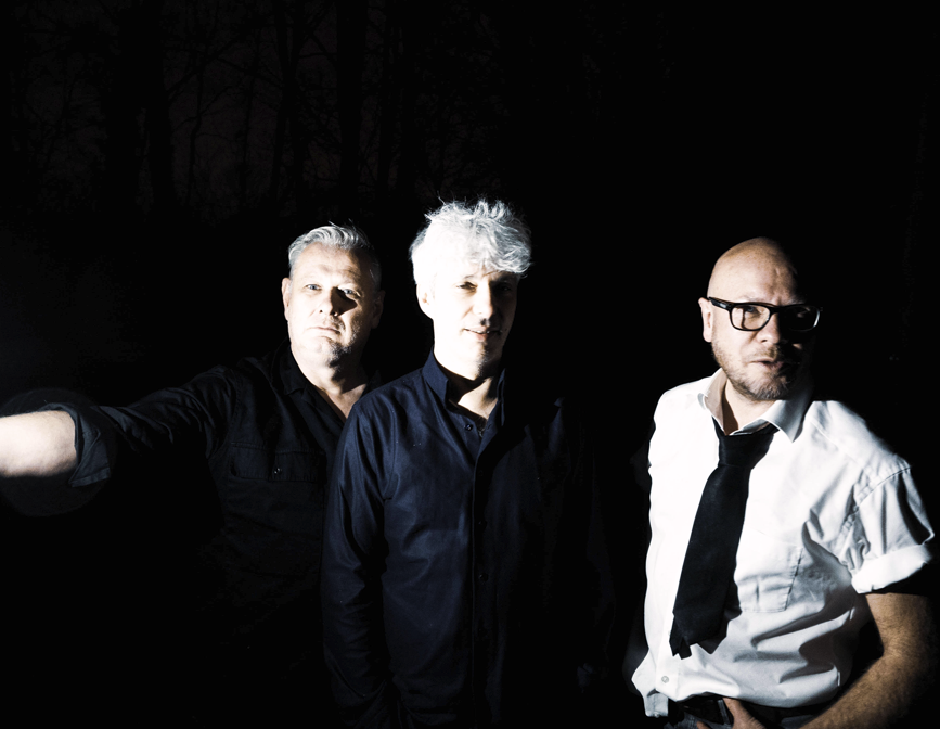 Kameel © Eric Engels