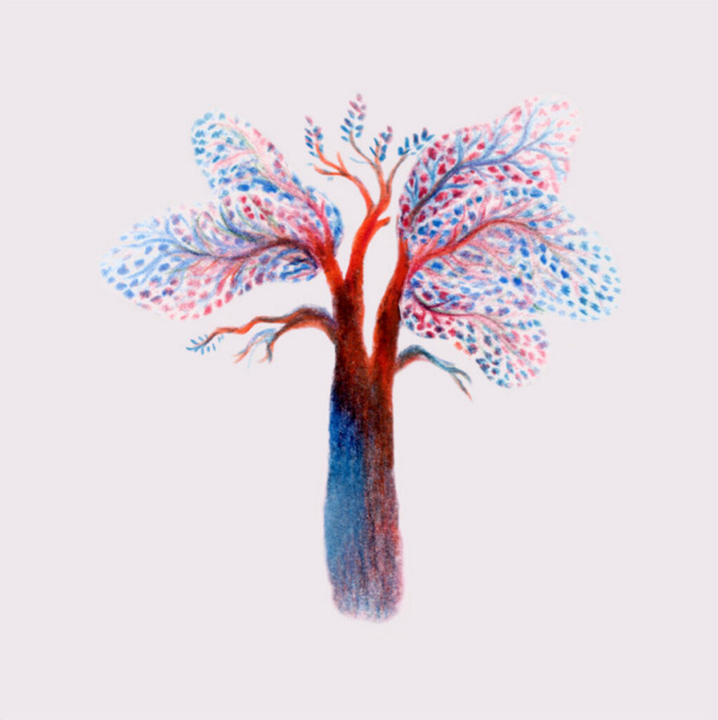 © Noah Vanden Abeele