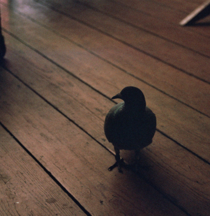 MARCO GIONGRANDI @ MARCO GIONGRANDI